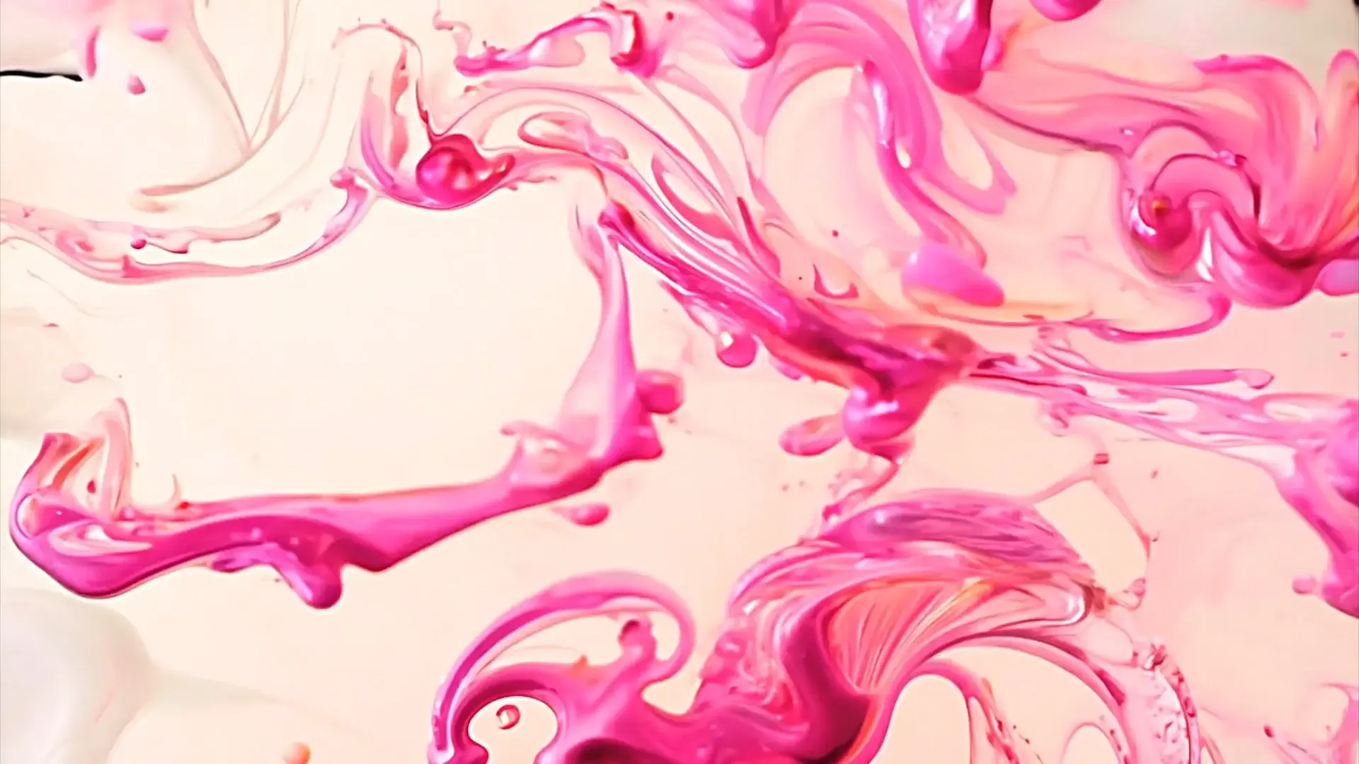 Elegant Rose Fluid Splash Transition for Creative Beauty Ads